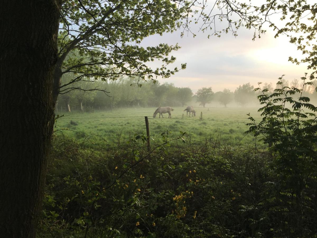 B&B De Hostelier Ursel Buitenkant foto